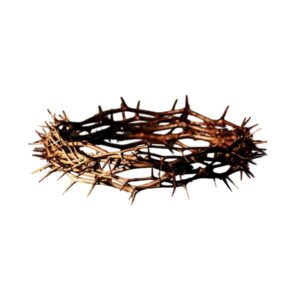 Crown of Thorns