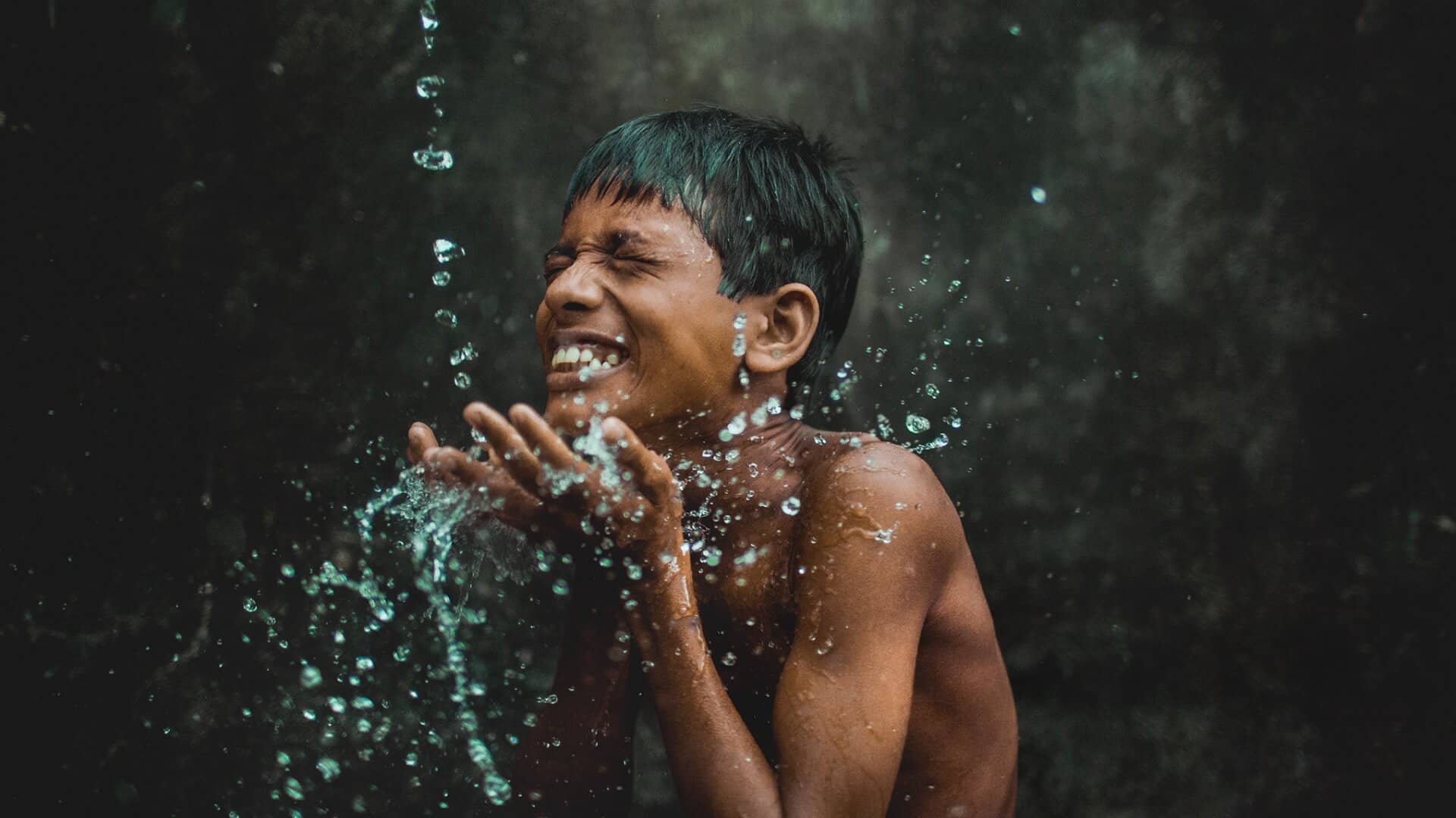 Non Profit WordPress Theme - Donation